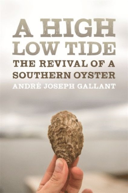 André Joseph Gallant - High Low Tide, E-bok