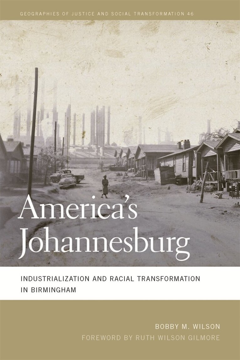 Bobby M. Wilson - America's Johannesburg, Häftad