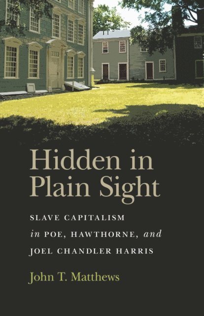 John T. Matthews - Hidden in Plain Sight, E-bok