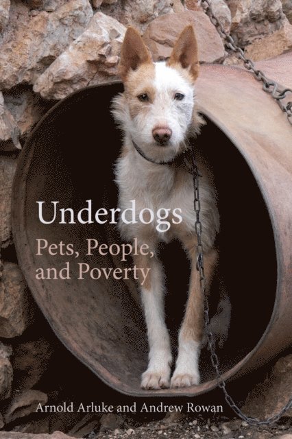 Arnold Arluke, Andrew Rowan - Underdogs, E-bok