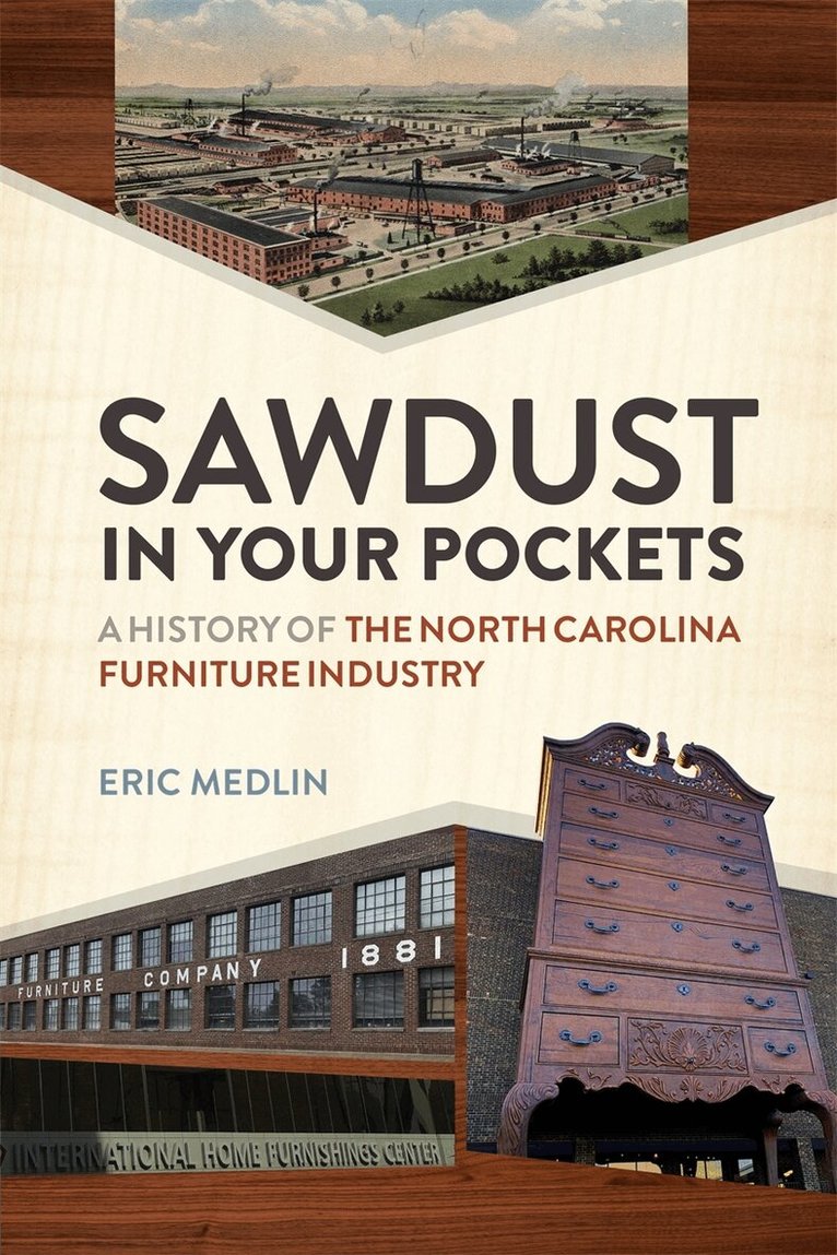 Eric Medlin - Sawdust in Your Pockets, Häftad