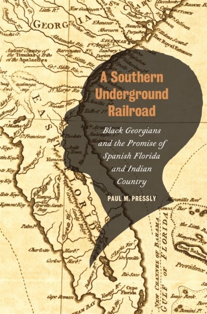 Paul M. Pressly - Southern Underground Railroad, E-bok