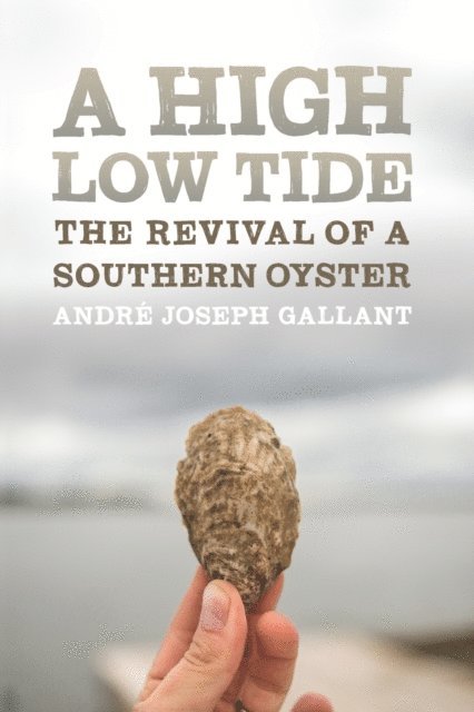 Andre Joseph Gallant - High Low Tide, E-bok