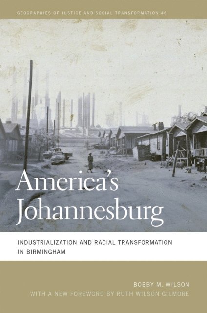 Bobby M. Wilson - America's Johannesburg, E-bok