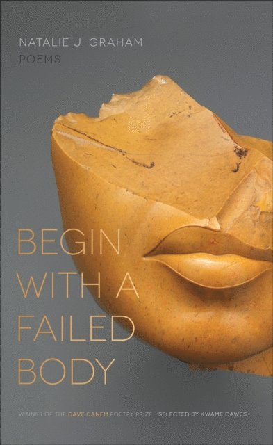 Natalie J. Graham - Begin with a Failed Body, E-bok