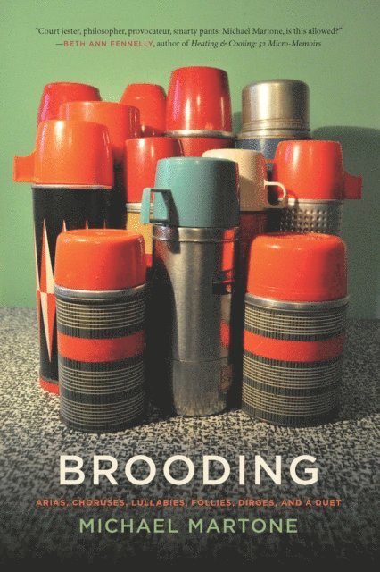 Michael Martone - Brooding, E-bok