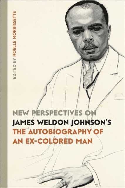 Noelle Morrissette - New Perspectives on James Weldon Johnson's &quote;The Autobiography of an Ex-Colored Man&quote;, E-bok