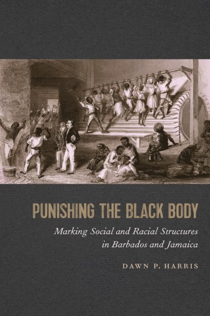 Dawn P. Harris - Punishing the Black Body, E-bok