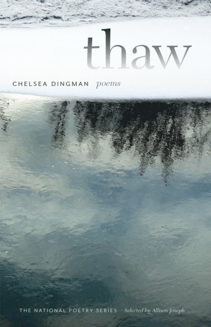 Chelsea Dingman - Thaw, E-bok