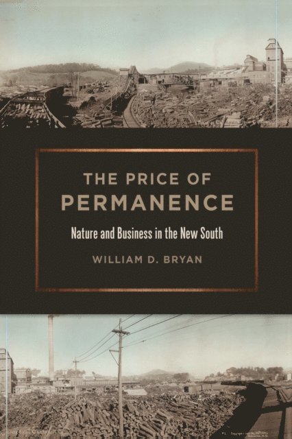 William D. Bryan - Price of Permanence, E-bok