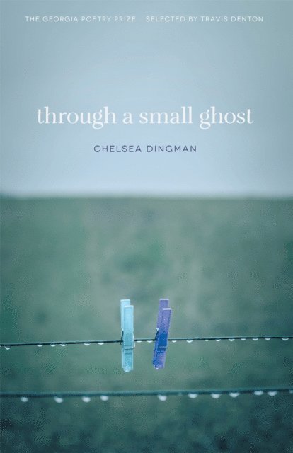 Chelsea Dingman - Through a Small Ghost, E-bok