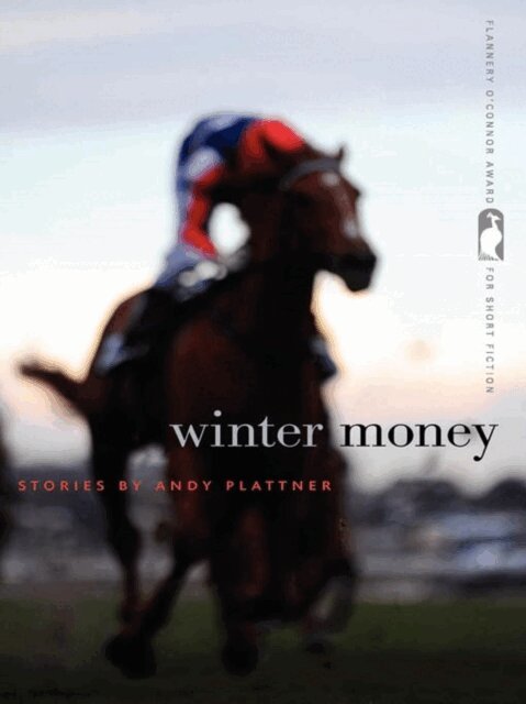 Andy Plattner - Winter Money, E-bok