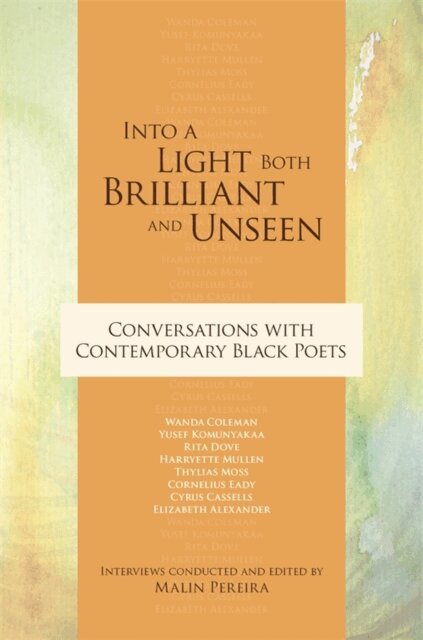 Malin Pereira - Into a Light Both Brilliant and Unseen, E-bok