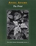 New Photo Series 3: Print