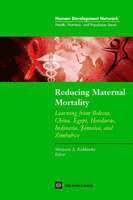 Marjorie A. Koblinsky - Reducing Maternal Mortality, Häftad