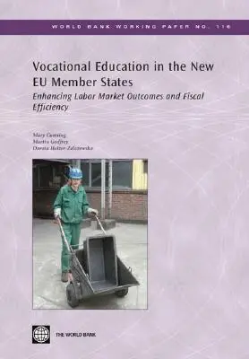 Mary Canning, Martin Godfrey, Dorota Holzer-Zelazewska - Vocational Education in the New EU Member States, Häftad. Tillgänglighet: Tillfälligt slut