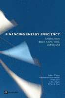 Robert P. Taylor, Chandrasekar Govindarajalu, Anke S. Meyer - Financing Energy Efficiency, Häftad. Tillgänglighet: Tillfälligt slut