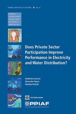 Katharina Gassner, Alexander Popov, Nataliya Pushak - Does Private Sector Participation Improve Performance in Electricity and Water Distribution?, Häftad. Tillgänglighet: Tillfälligt slut