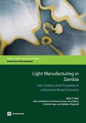 Dinh Hinh - Light Manufacturing in Zambia, Häftad. Tillgänglighet: Lägg i varukorg