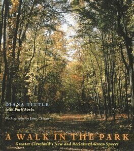 Diana Tittle - Walk in the Park, Häftad. Tillgänglighet: Tillfälligt slut