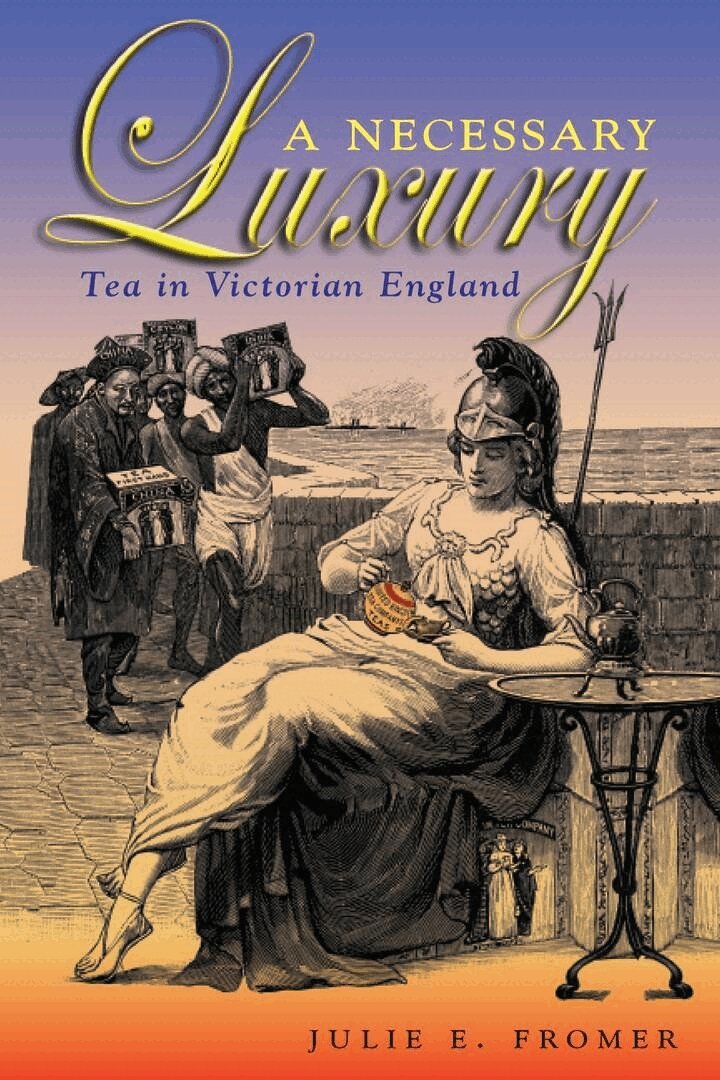 Julie E. Fromer - Necessary Luxury, E-bok