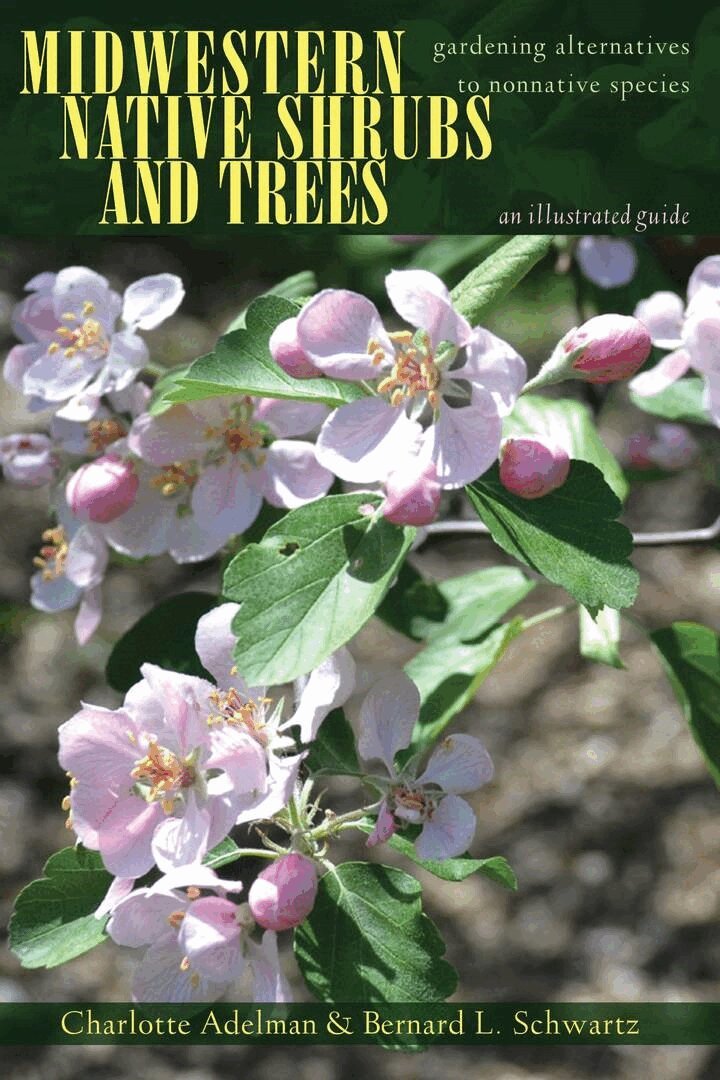 Charlotte Adelman, Bernard L. Schwartz - Midwestern Native Shrubs and Trees, E-bok