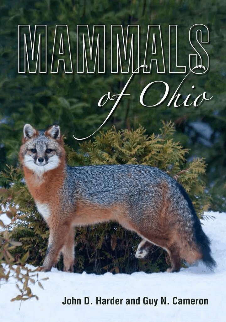 John D. Harder, Guy N. Cameron - Mammals of Ohio, E-bok