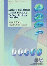 Lectures on Surfaces