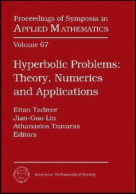 American Mathematical Society - Hyperbolic Problems, Parts 1 & 2, Inbunden