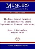 Sine-Gordon Equation in the Semiclassical Limit