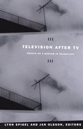 Television After TV