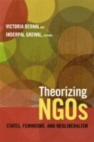 Theorizing NGOs