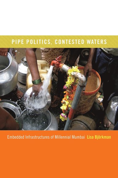 Pipe Politics, Contested Waters by Lisa Björkman, Lisa Bjorkman
