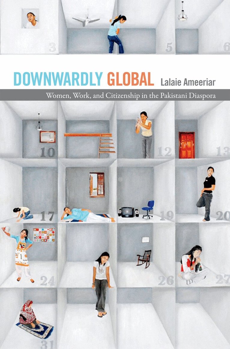Lalaie Ameeriar - Downwardly Global, Häftad