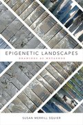 Epigenetic Landscapes