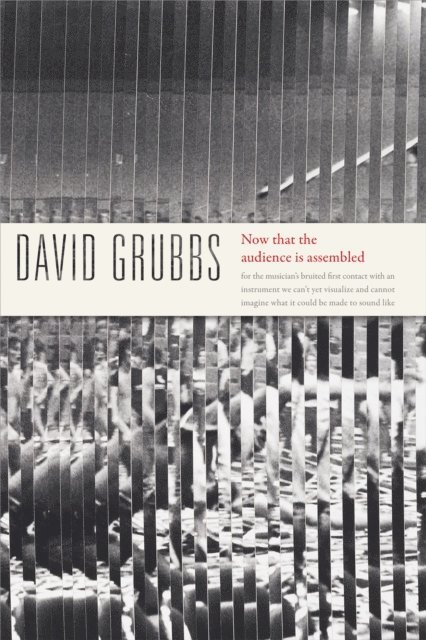 David Grubbs - Now that the audience is assembled, E-bok