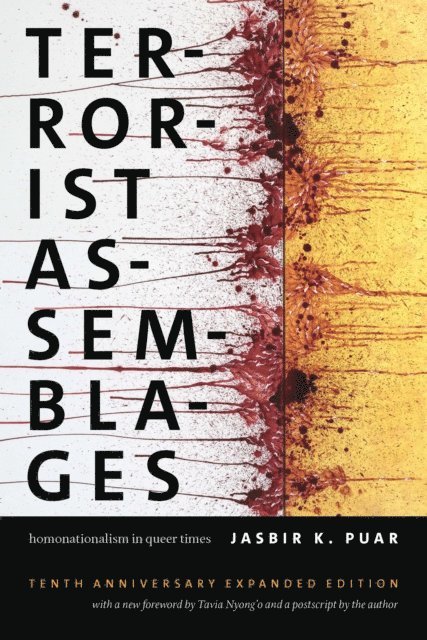 Jasbir K. Puar - Terrorist Assemblages, E-bok