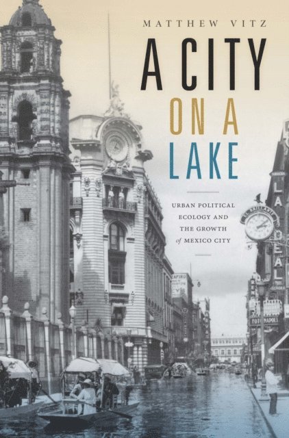 Matthew Vitz - City on a Lake, E-bok