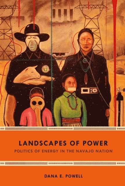 Dana E. Powell - Landscapes of Power, E-bok