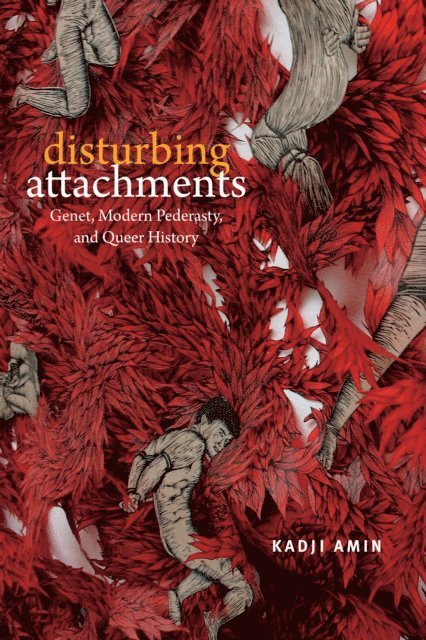 Kadji Amin - Disturbing Attachments, E-bok