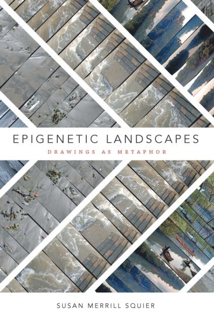 Susan Merrill Squier - Epigenetic Landscapes, E-bok