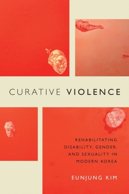 Eunjung Kim - Curative Violence, E-bok