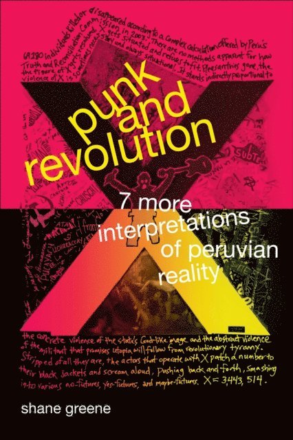 Shane Greene - Punk and Revolution, E-bok
