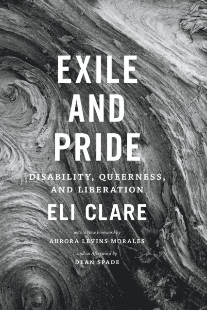 Eli Clare - Exile and Pride, E-bok