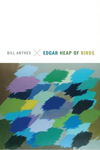 Bill Anthes - Edgar Heap of Birds, E-bok