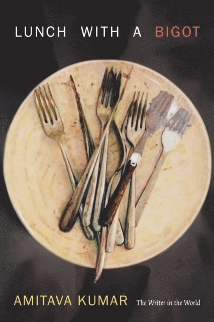 Amitava Kumar - Lunch With a Bigot, E-bok