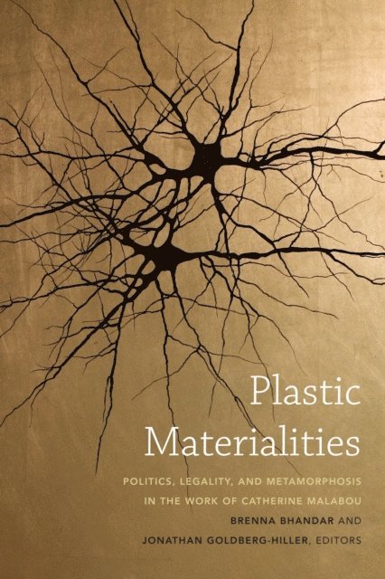 Jonathan Goldberg-Hiller, Brenna Bhandar - Plastic Materialities, E-bok