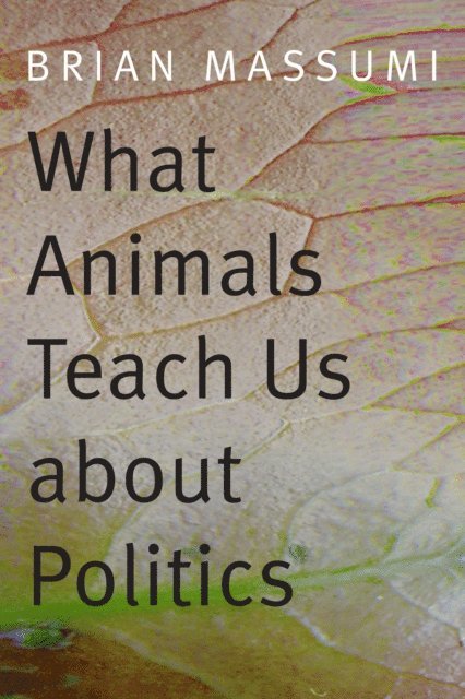 Brian Massumi - What Animals Teach Us about Politics, E-bok