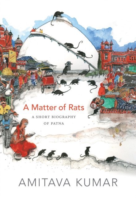 Amitava Kumar - Matter of Rats, E-bok