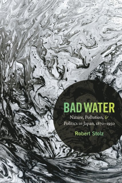 Robert Stolz - Bad Water, E-bok